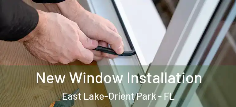  New Window Installation East Lake-Orient Park - FL