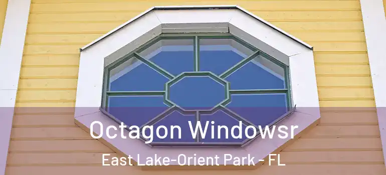  Octagon Windowsr East Lake-Orient Park - FL