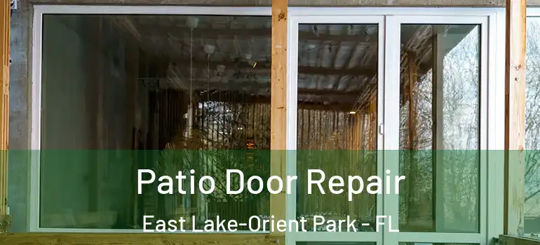  Patio Door Repair East Lake-Orient Park - FL