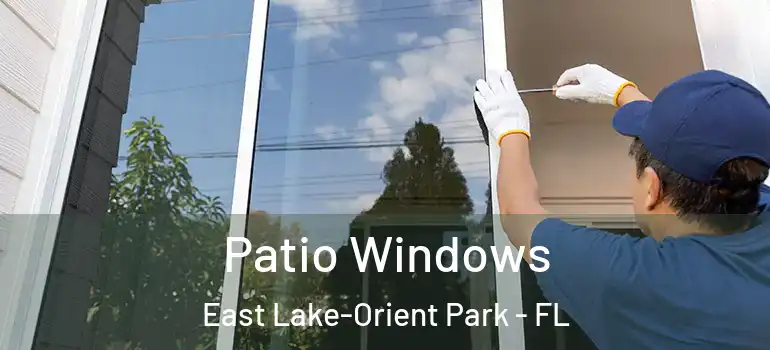  Patio Windows East Lake-Orient Park - FL