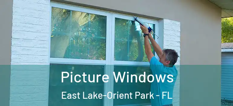  Picture Windows East Lake-Orient Park - FL