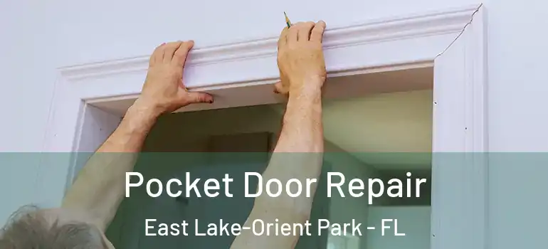  Pocket Door Repair East Lake-Orient Park - FL