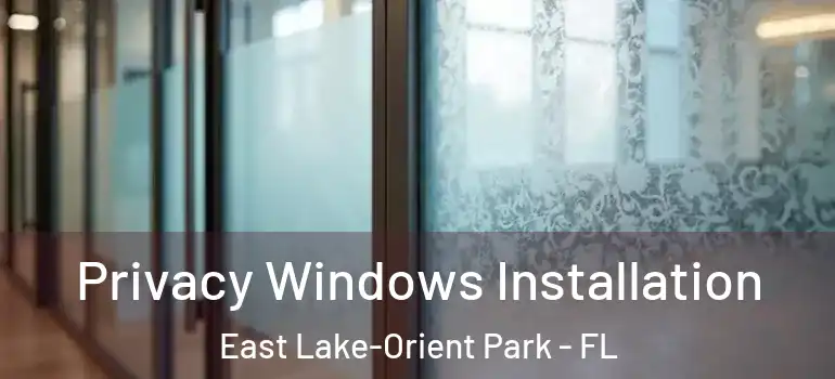  Privacy Windows Installation East Lake-Orient Park - FL