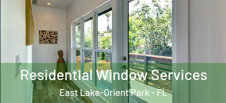  Residential Window Services East Lake-Orient Park - FL
