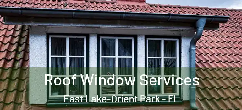  Roof Window Services East Lake-Orient Park - FL