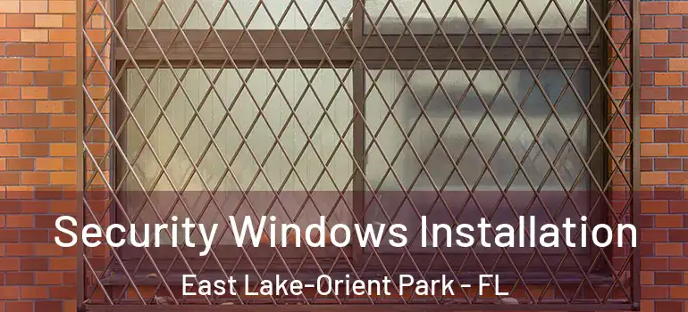  Security Windows Installation East Lake-Orient Park - FL