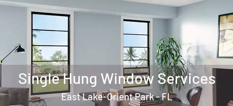  Single Hung Window Services East Lake-Orient Park - FL