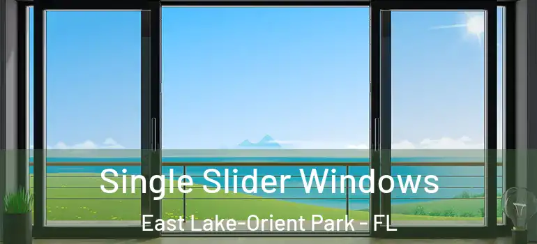  Single Slider Windows East Lake-Orient Park - FL