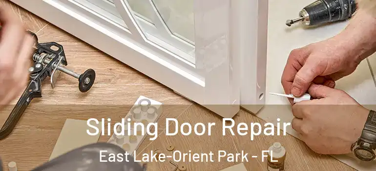  Sliding Door Repair East Lake-Orient Park - FL