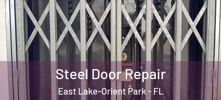  Steel Door Repair East Lake-Orient Park - FL