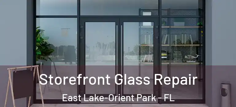  Storefront Glass Repair East Lake-Orient Park - FL