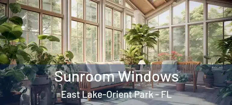  Sunroom Windows East Lake-Orient Park - FL