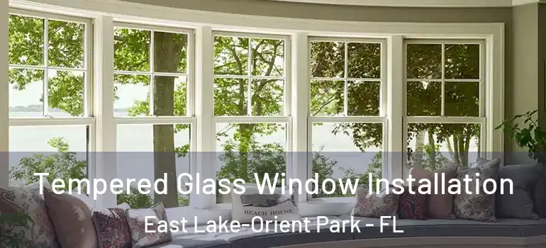  Tempered Glass Window Installation East Lake-Orient Park - FL
