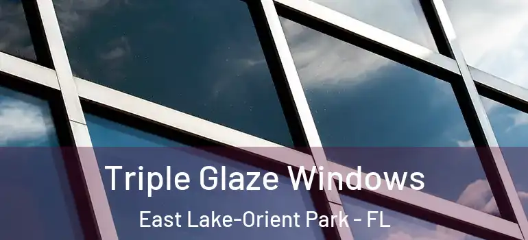  Triple Glaze Windows East Lake-Orient Park - FL