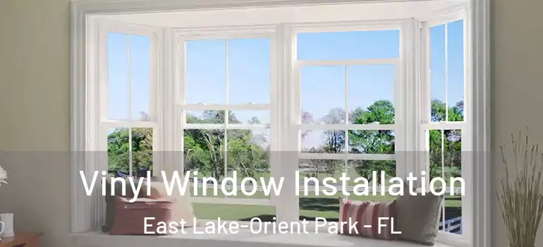  Vinyl Window Installation East Lake-Orient Park - FL