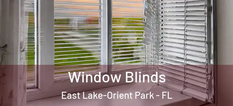  Window Blinds East Lake-Orient Park - FL
