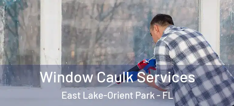  Window Caulk Services East Lake-Orient Park - FL