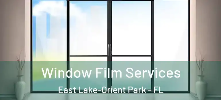  Window Film Services East Lake-Orient Park - FL