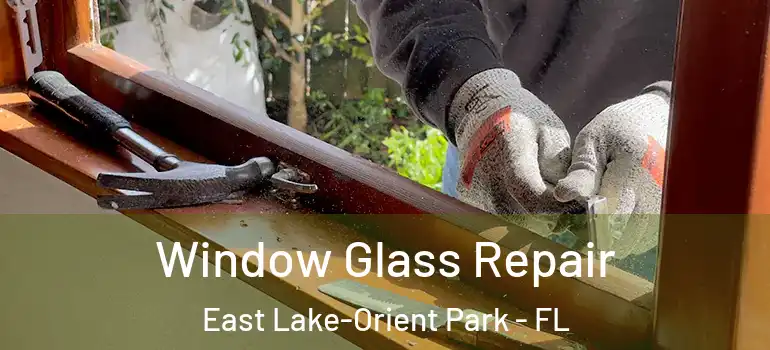  Window Glass Repair East Lake-Orient Park - FL