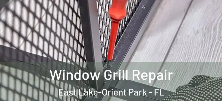  Window Grill Repair East Lake-Orient Park - FL