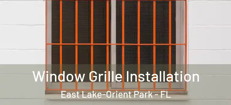  Window Grille Installation East Lake-Orient Park - FL