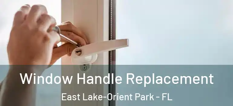  Window Handle Replacement East Lake-Orient Park - FL