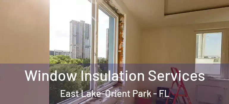  Window Insulation Services East Lake-Orient Park - FL