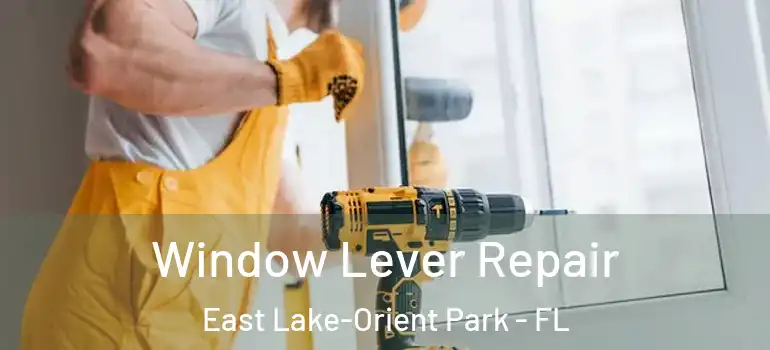  Window Lever Repair East Lake-Orient Park - FL
