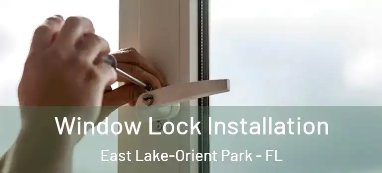  Window Lock Installation East Lake-Orient Park - FL