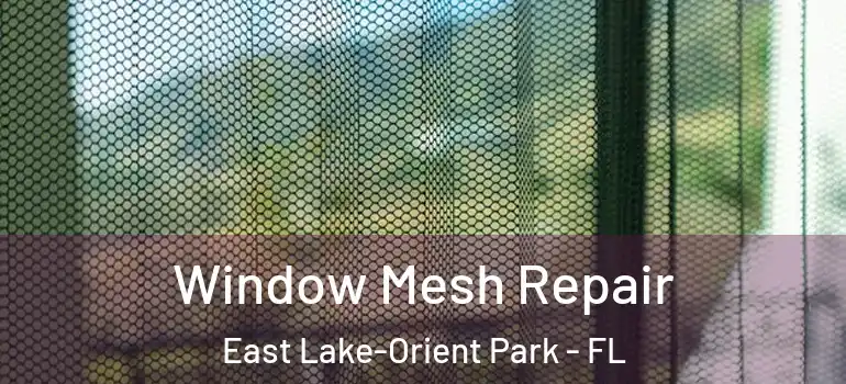  Window Mesh Repair East Lake-Orient Park - FL