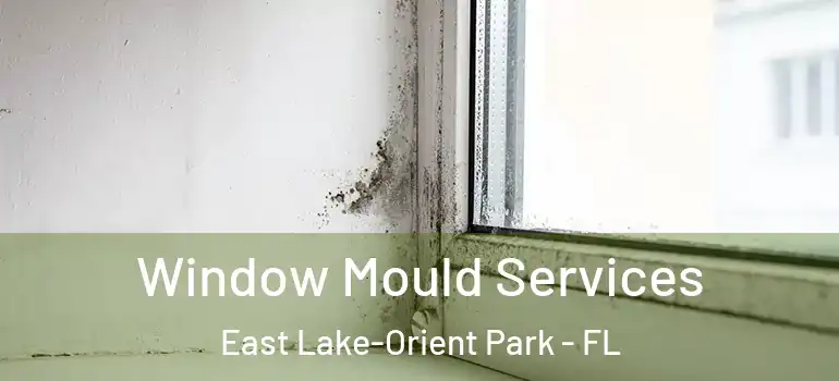  Window Mould Services East Lake-Orient Park - FL