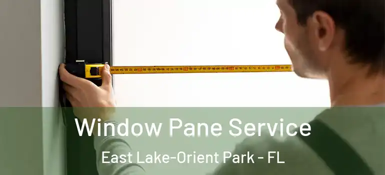  Window Pane Service East Lake-Orient Park - FL