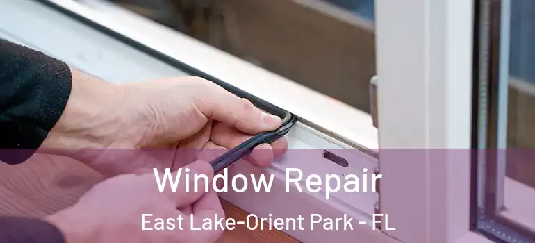  Window Repair East Lake-Orient Park - FL