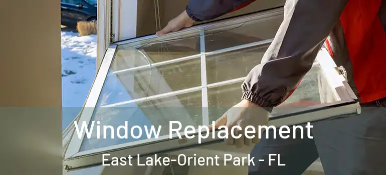  Window Replacement East Lake-Orient Park - FL