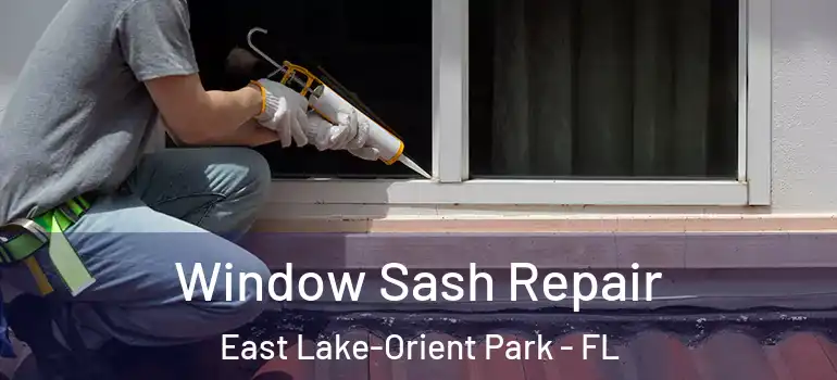  Window Sash Repair East Lake-Orient Park - FL