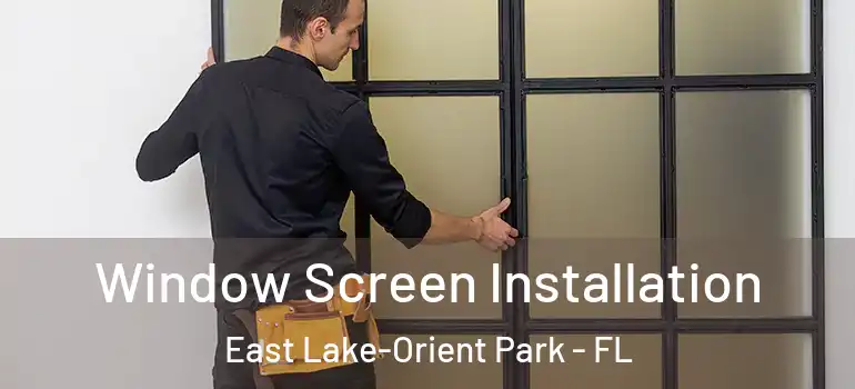  Window Screen Installation East Lake-Orient Park - FL