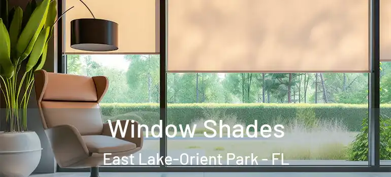  Window Shades East Lake-Orient Park - FL
