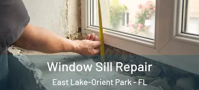 Window Sill Repair East Lake-Orient Park - FL