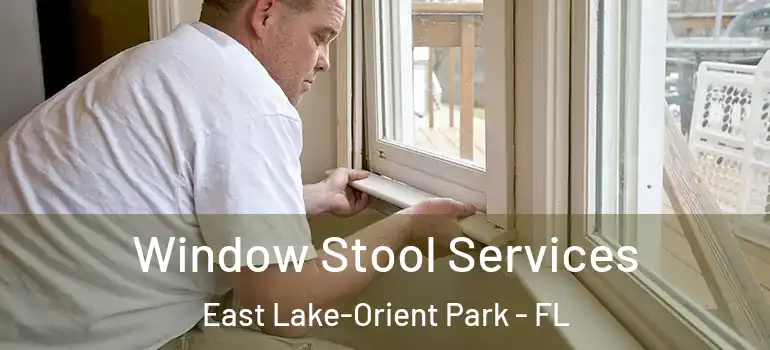  Window Stool Services East Lake-Orient Park - FL
