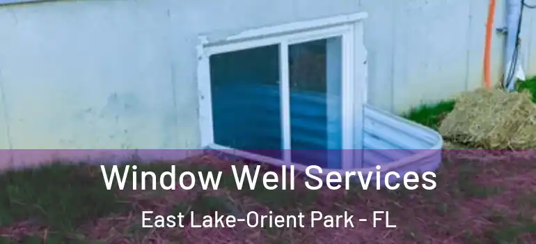  Window Well Services East Lake-Orient Park - FL