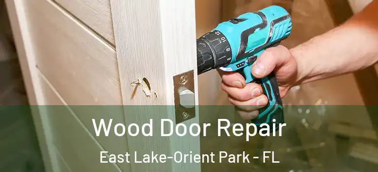  Wood Door Repair East Lake-Orient Park - FL